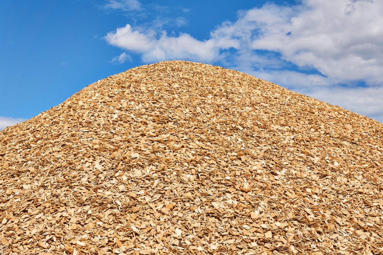 huge-pile-fresh-woodchips-against-sky 1500x1000