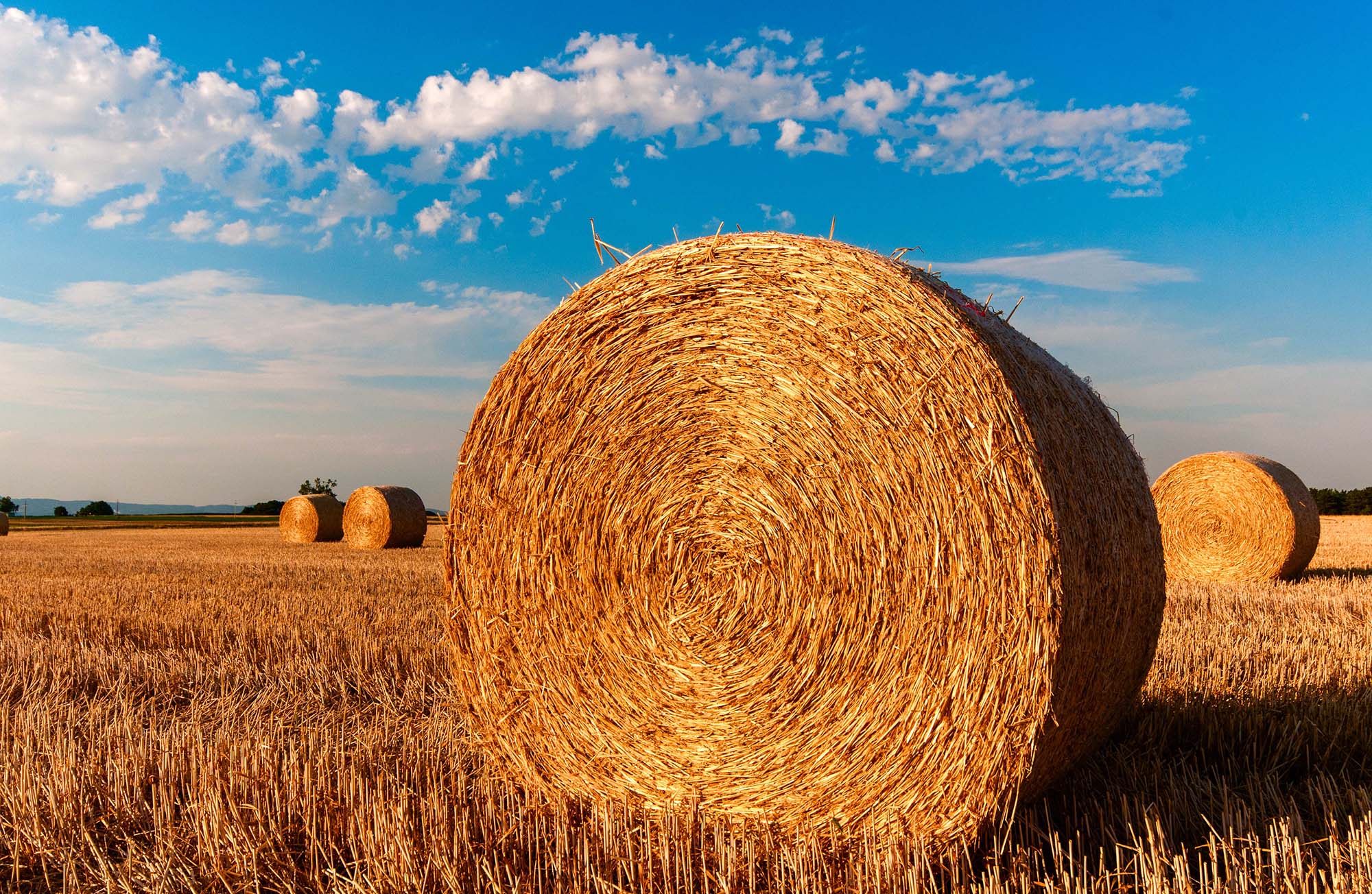 Agricultural